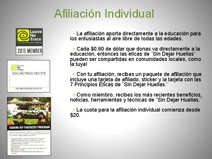 Afiliación Individual ▪ La afiliación aporta directamente a la educación para los entusiastas al