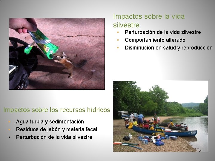 Impactos sobre la vida silvestre ▪ ▪ ▪ Impactos sobre los recursos hídricos ▪