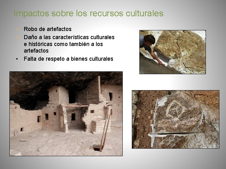 Impactos sobre los recursos culturales ▪ Robo de artefactos ▪ Daño a las características