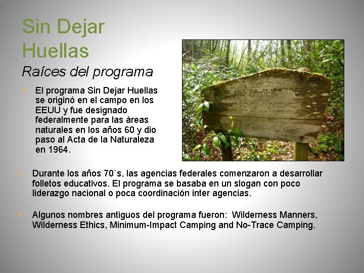 Sin Dejar Huellas Raíces del programa ▪ El programa Sin Dejar Huellas se originó