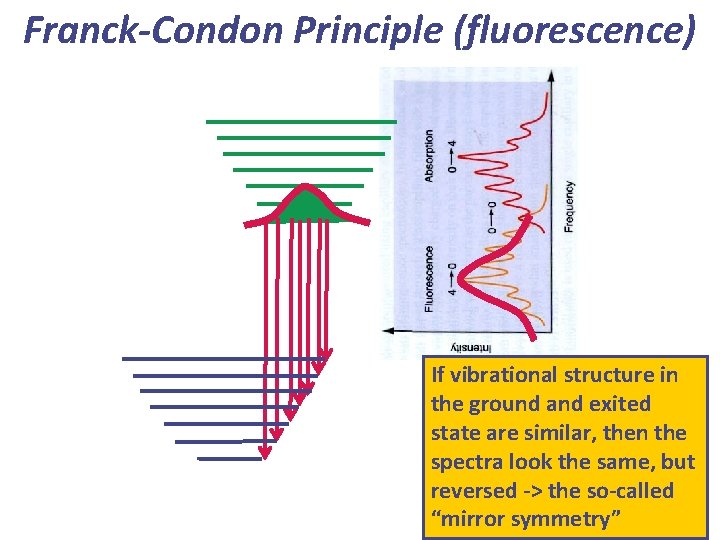 Franck-Condon Principle (fluorescence) If vibrational structure in the ground and exited state are similar,