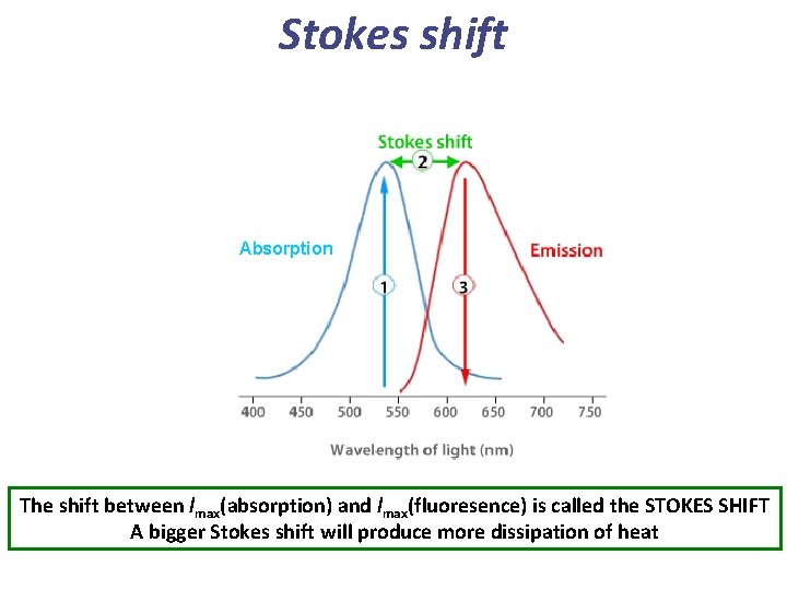 Stokes shift Absorption The shift between lmax(absorption) and lmax(fluoresence) is called the STOKES SHIFT