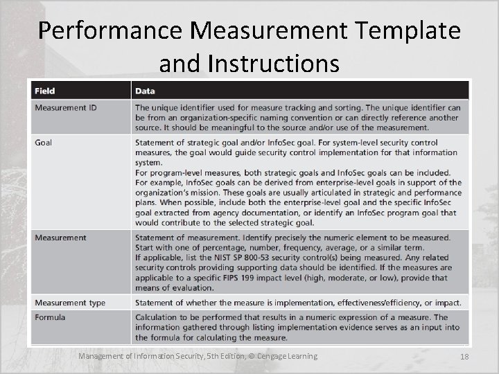 Performance Measurement Template and Instructions Management of Information Security, 5 th Edition, © Cengage