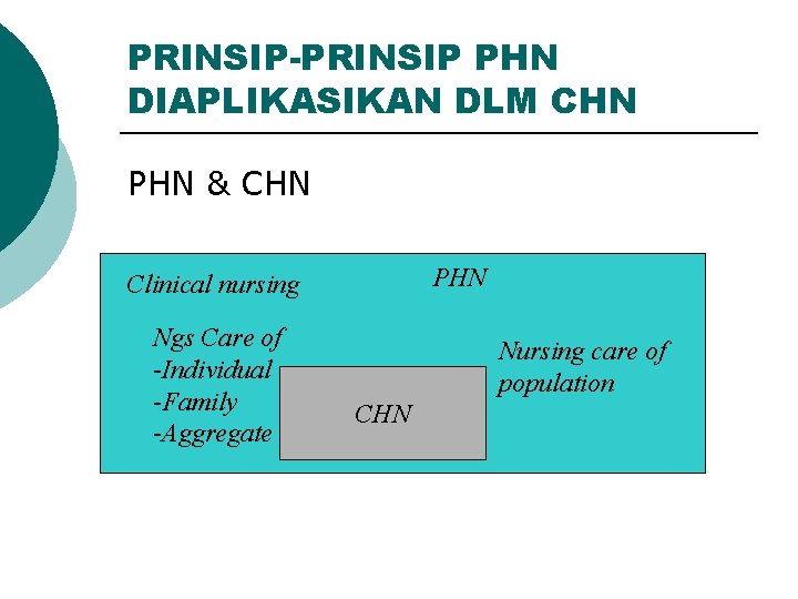 PRINSIP-PRINSIP PHN DIAPLIKASIKAN DLM CHN PHN & CHN PHN Clinical nursing Ngs Care of