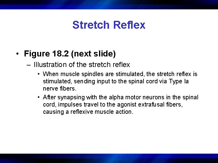 Stretch Reflex • Figure 18. 2 (next slide) – Illustration of the stretch reflex