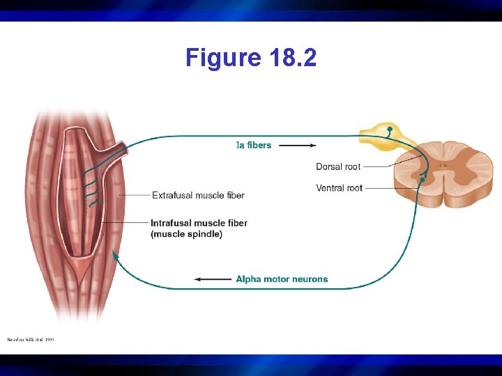 Figure 18. 2 