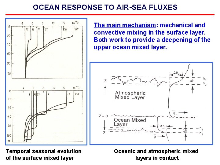 OCEAN RESPONSE TO AIR-SEA FLUXES The main mechanism: mechanical and convective mixing in the