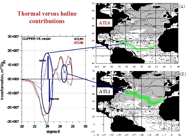 Thermal versus haline contributions ATL 6 ATL 1 