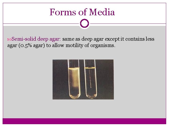 Forms of Media Semi-solid deep agar: same as deep agar except it contains less