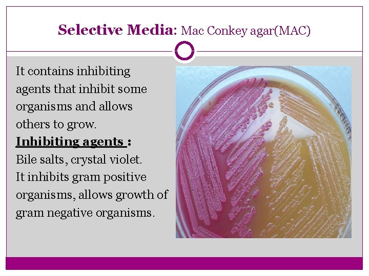 Selective Media: Mac Conkey agar(MAC) It contains inhibiting agents that inhibit some organisms and