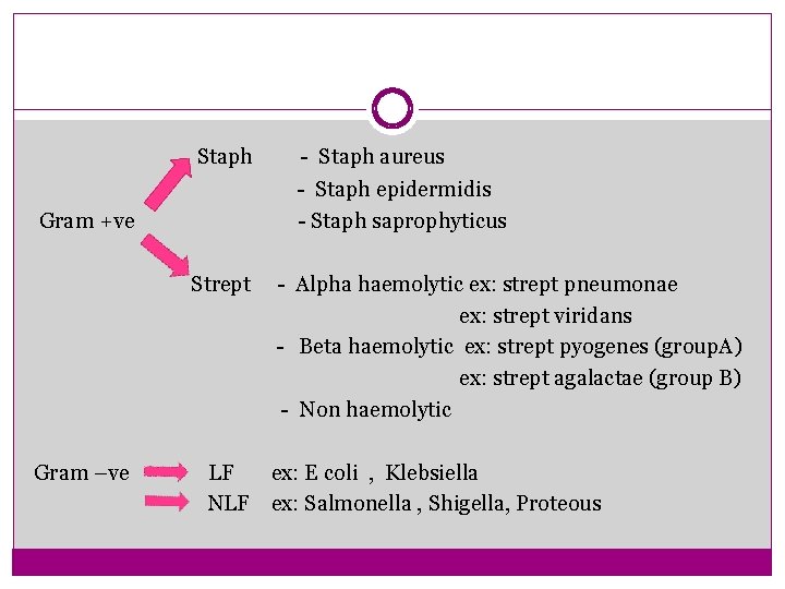 Staph - Staph epidermidis - Staph saprophyticus Gram +ve Strept Gram –ve - Staph
