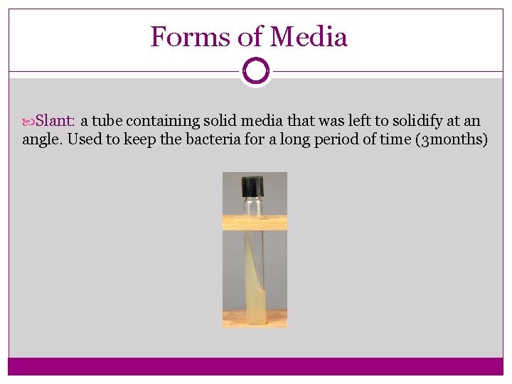 Forms of Media Slant: a tube containing solid media that was left to solidify
