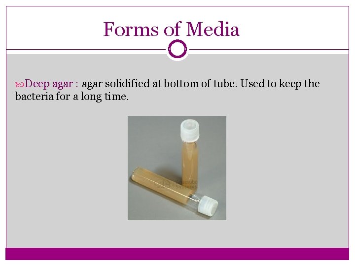Forms of Media Deep agar : agar solidified at bottom of tube. Used to