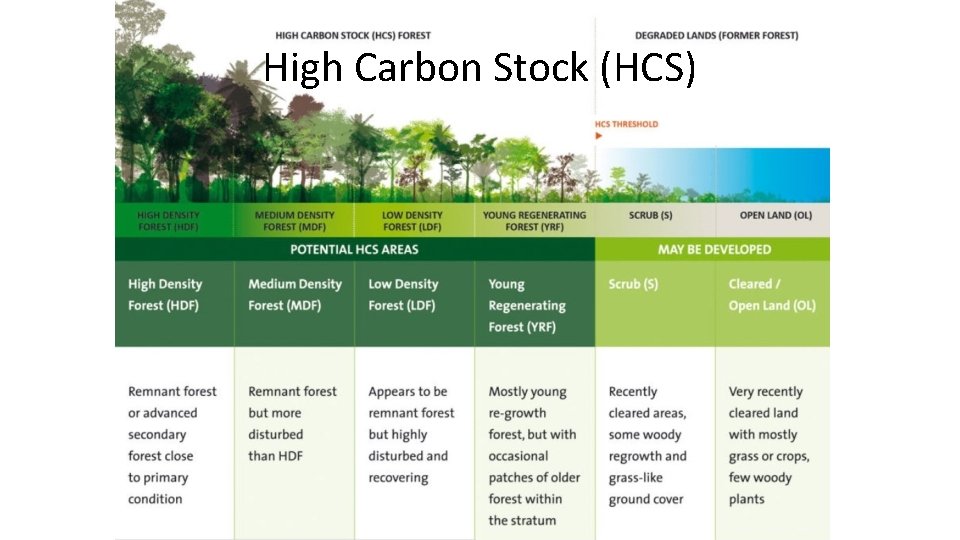 High Carbon Stock (HCS) 