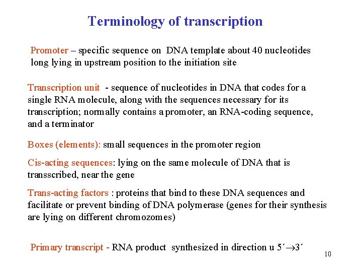 Terminology of transcription Promoter – specific sequence on DNA template about 40 nucleotides long