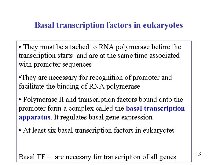 Basal transcription factors in eukaryotes • They must be attached to RNA polymerase before