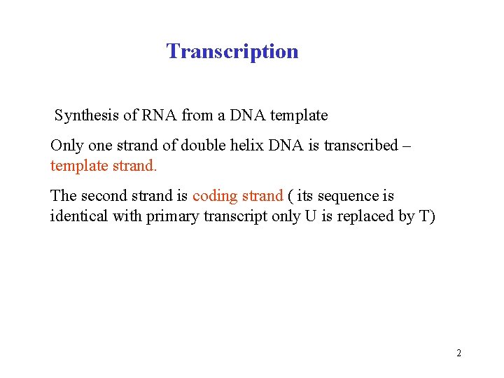 Transcription Synthesis of RNA from a DNA template Only one strand of double helix
