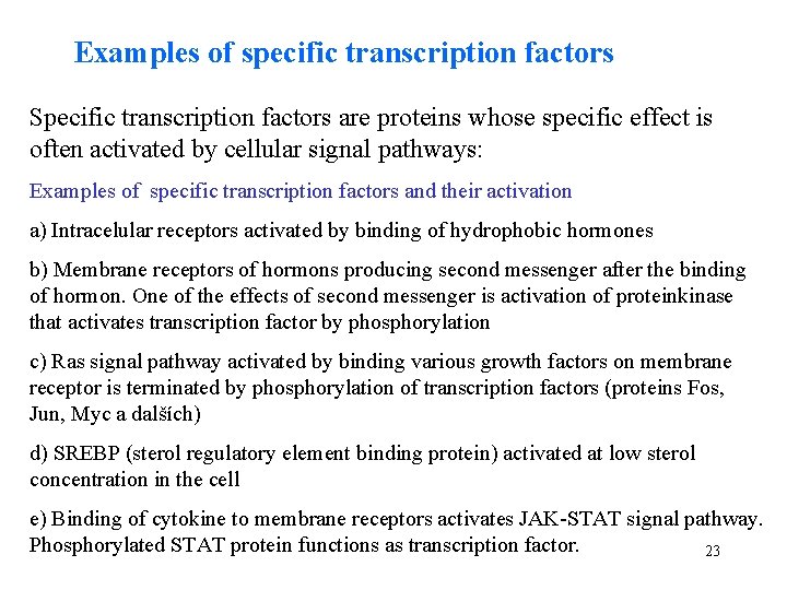 Examples of specific transcription factors Specific transcription factors are proteins whose specific effect is