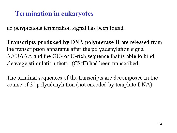 Termination in eukaryotes no perspicuous termination signal has been found. Transcripts produced by DNA