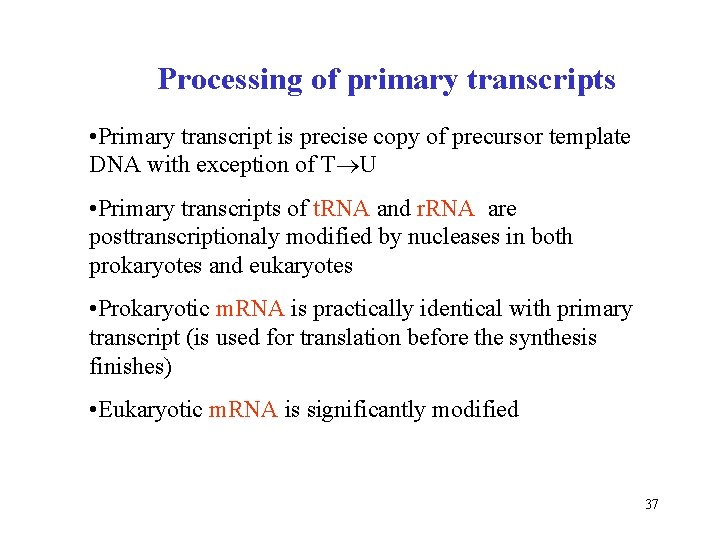 Processing of primary transcripts • Primary transcript is precise copy of precursor template DNA