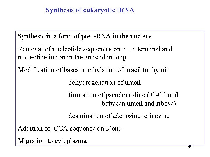 Synthesis of eukaryotic t. RNA Synthesis in a form of pre t-RNA in the
