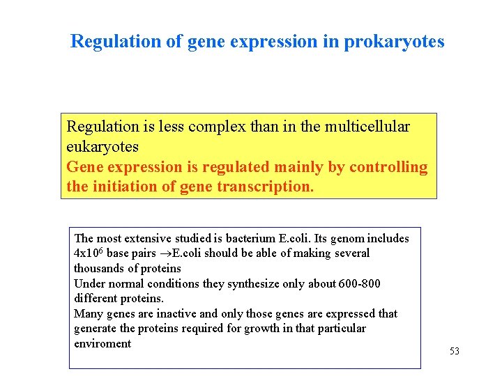 Regulation of gene expression in prokaryotes Regulation is less complex than in the multicellular