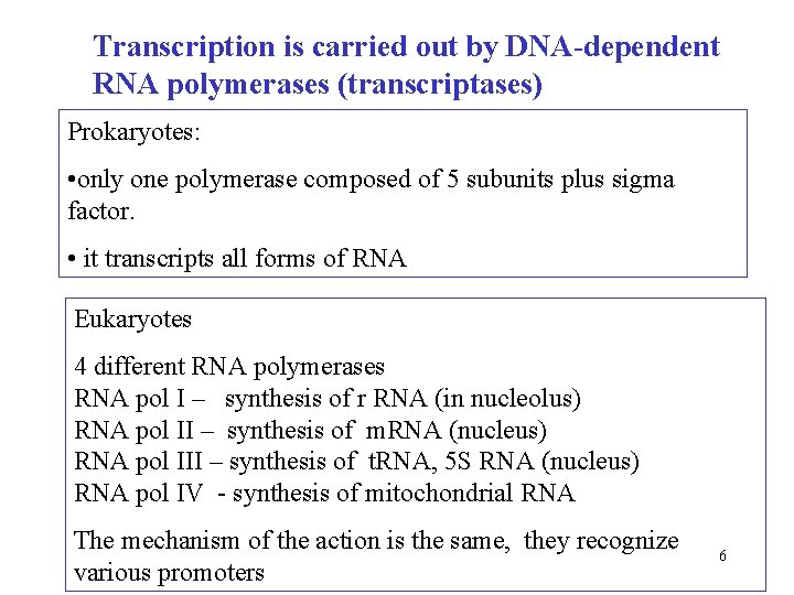 Transcription is carried out by DNA-dependent RNA polymerases (transcriptases) Prokaryotes: • only one polymerase