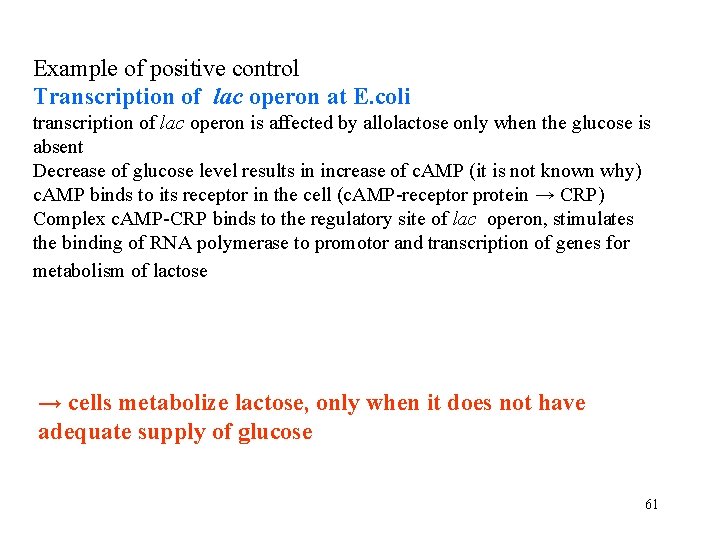 Example of positive control Transcription of lac operon at E. coli transcription of lac