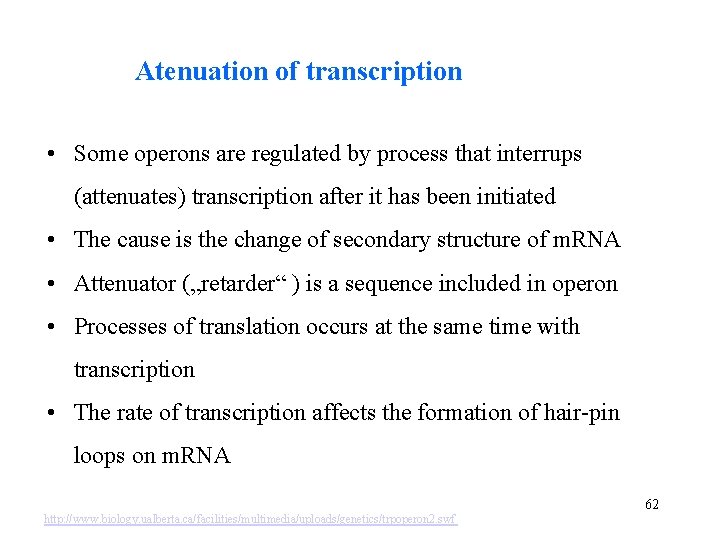 Atenuation of transcription • Some operons are regulated by process that interrups (attenuates) transcription