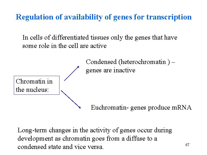 Regulation of availability of genes for transcription In cells of differentiated tissues only the