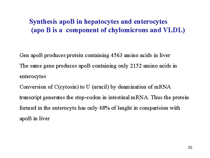Synthesis apo. B in hepatocytes and enterocytes (apo B is a component of chylomicrons