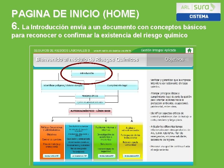 PAGINA DE INICIO (HOME) 6. La Introducción envía a un documento conceptos básicos para