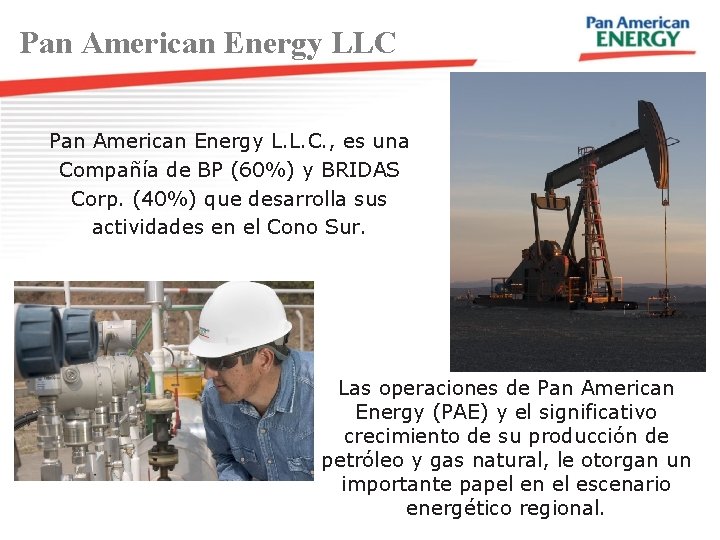 Pan American Energy LLC Pan American Energy L. L. C. , es una Compañía