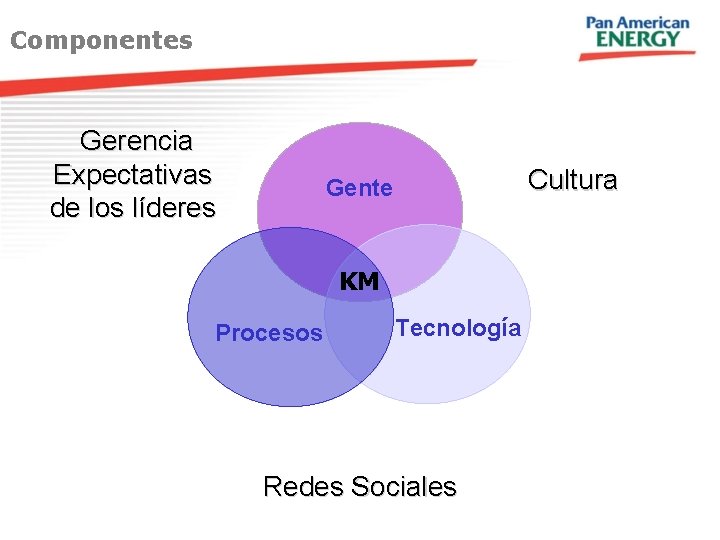 Componentes Gerencia Expectativas de los líderes Cultura Gente KM Procesos Tecnología Redes Sociales 