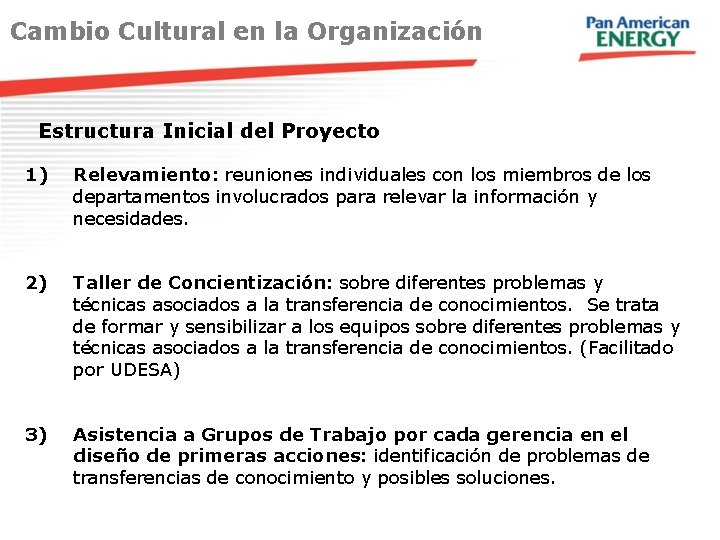 Cambio Cultural en la Organización Estructura Inicial del Proyecto 1) Relevamiento: reuniones individuales con