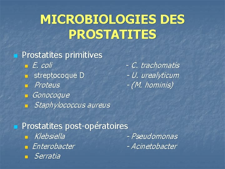 MICROBIOLOGIES DES PROSTATITES n Prostatites primitives n n n E. coli streptocoque D Proteus