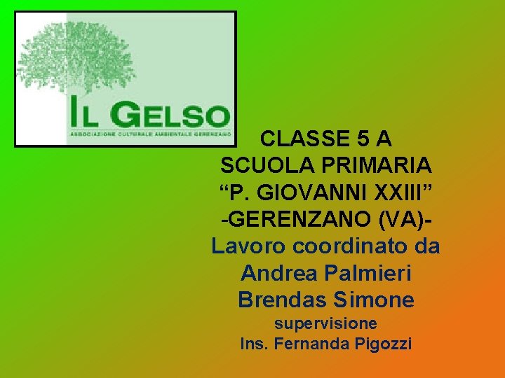 CLASSE 5 A SCUOLA PRIMARIA “P. GIOVANNI XXIII” -GERENZANO (VA)Lavoro coordinato da Andrea Palmieri CLASSE 5 A SCUOLA PRIMARIA “P. GIOVANNI XXIII” -GERENZANO (VA)Lavoro coordinato da Andrea Palmieri