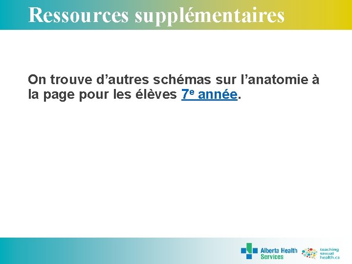 Ressources supplémentaires On trouve d’autres schémas sur l’anatomie à la page pour les élèves