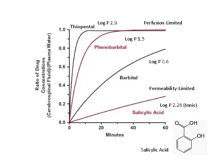 Log P 2. 9 Perfusion-Limited Log P 1. 5 Log P 0. 6 Permeability-Limited