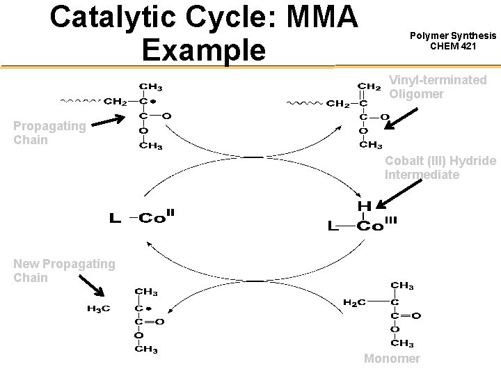 Catalytic Cycle: MMA Example Polymer Synthesis CHEM 421 Vinyl-terminated Oligomer Propagating Chain Cobalt (III)