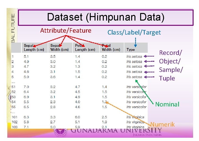 Dataset (Himpunan Data) Attribute/Feature Class/Label/Target Record/ Object/ Sample/ Tuple Nominal 5 Numerik 