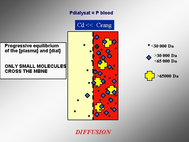 Pdialysat = P blood Cd << Csang Progressive equilibrium of the [plasma] and [dial]
