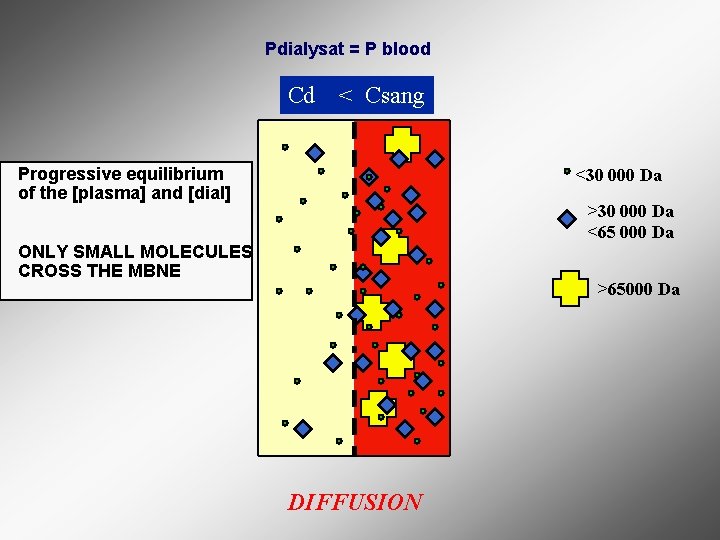 Pdialysat = P blood Cd < Csang Progressive equilibrium of the [plasma] and [dial]