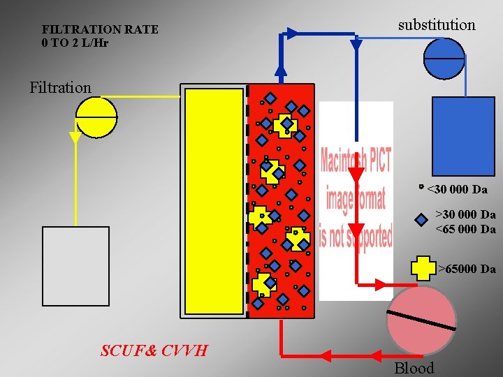 FILTRATION RATE 0 TO 2 L/Hr substitution Filtration <30 000 Da >30 000 Da FILTRATION RATE 0 TO 2 L/Hr substitution Filtration <30 000 Da >30 000 Da