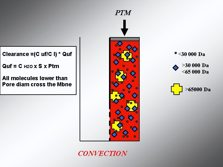 PTM <30 000 Da Clearance =(C uf/C I) * Quf >30 000 Da <65 PTM <30 000 Da Clearance =(C uf/C I) * Quf >30 000 Da <65