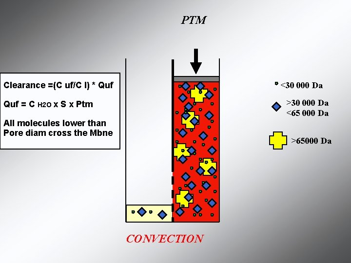 PTM <30 000 Da Clearance =(C uf/C I) * Quf >30 000 Da <65 PTM <30 000 Da Clearance =(C uf/C I) * Quf >30 000 Da <65