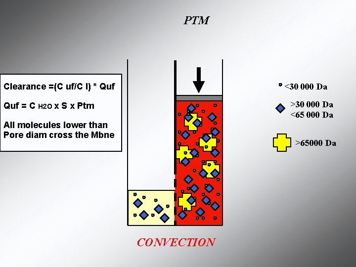 PTM <30 000 Da Clearance =(C uf/C I) * Quf >30 000 Da <65 PTM <30 000 Da Clearance =(C uf/C I) * Quf >30 000 Da <65