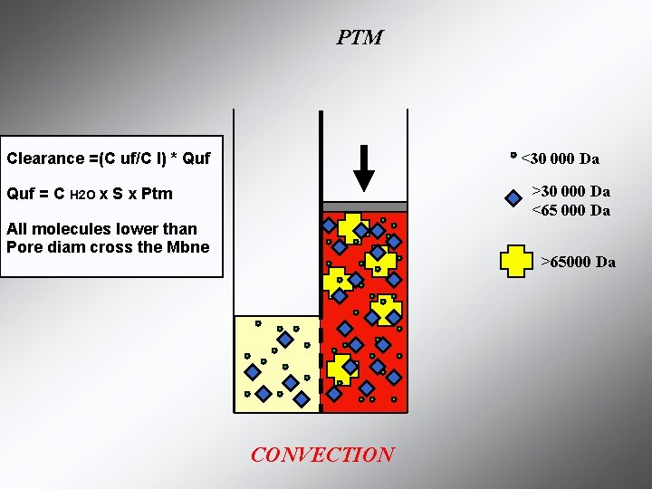 PTM <30 000 Da Clearance =(C uf/C I) * Quf >30 000 Da <65 PTM <30 000 Da Clearance =(C uf/C I) * Quf >30 000 Da <65