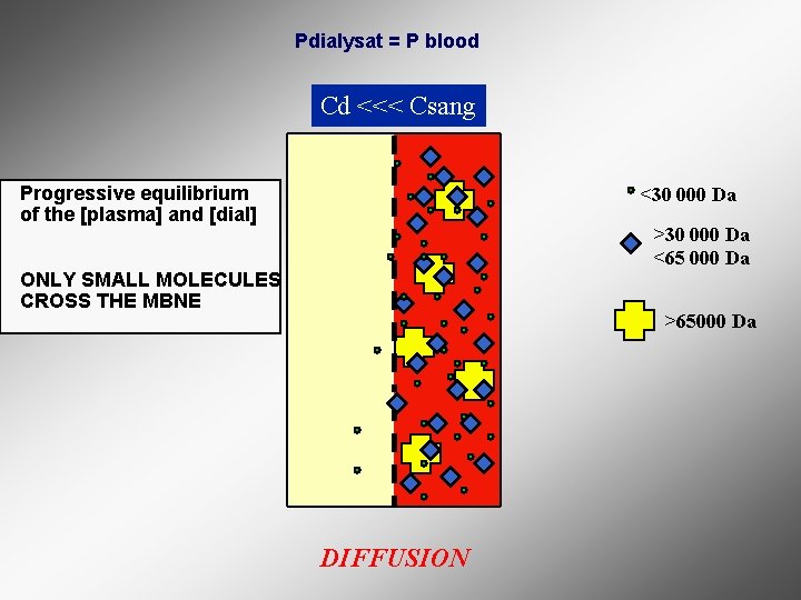Pdialysat = P blood Cd <<< Csang Progressive equilibrium of the [plasma] and [dial]