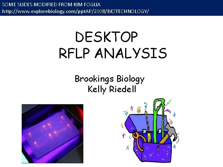 SOME SLIDES MODIFIED FROM KIM FOGLIA http: //www. explorebiology. com/ppt. AP/2008/BIOTECHNOLOGY/ DESKTOP RFLP ANALYSIS